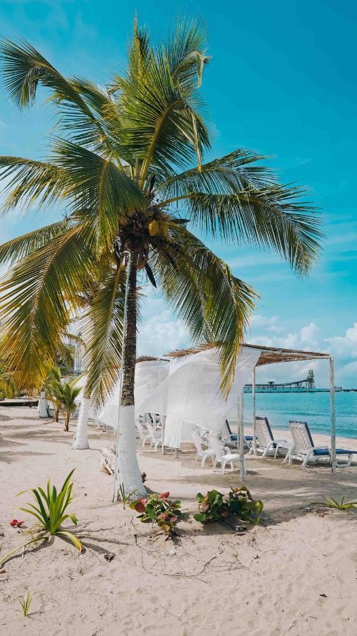 Makary Beach Tolu By Bernalo Hotels Exterior photo