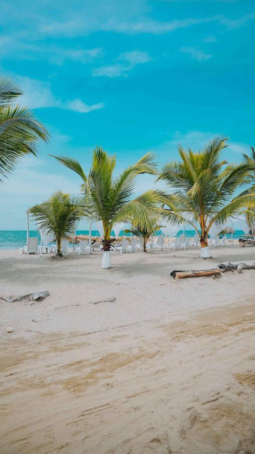 Makary Beach Tolu By Bernalo Hotels Exterior photo